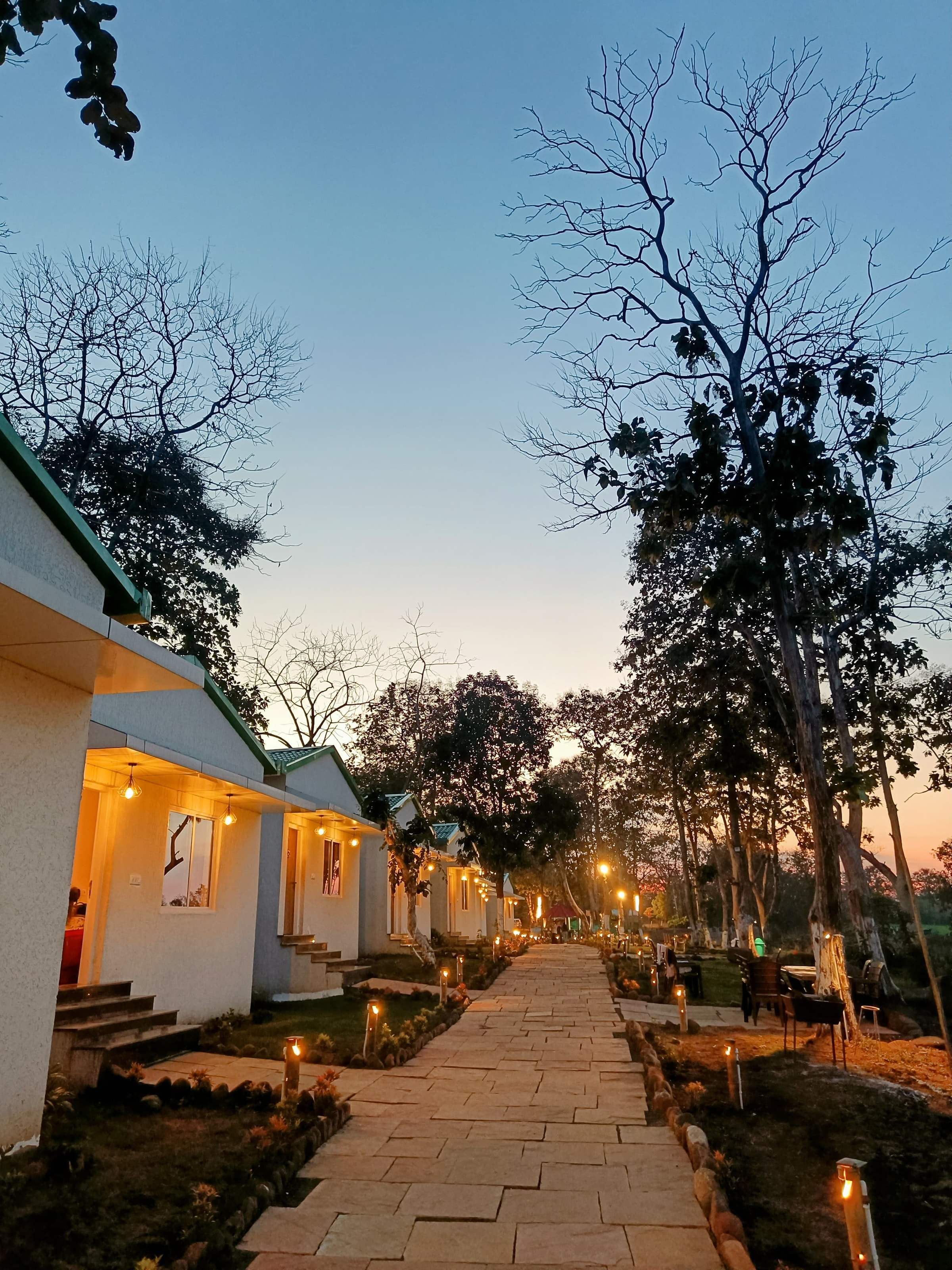 Stone pathway lit by lamps at dusk, with cottages on the left and tall trees against the evening sky