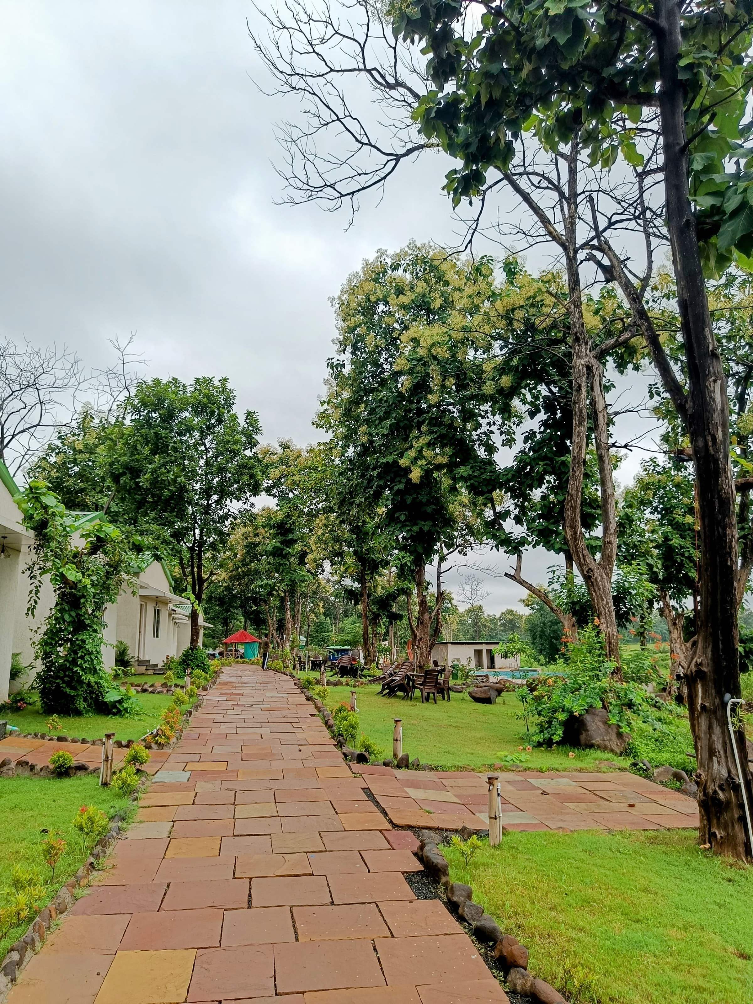 Stone pathway through lush green garden, with cottages on the left