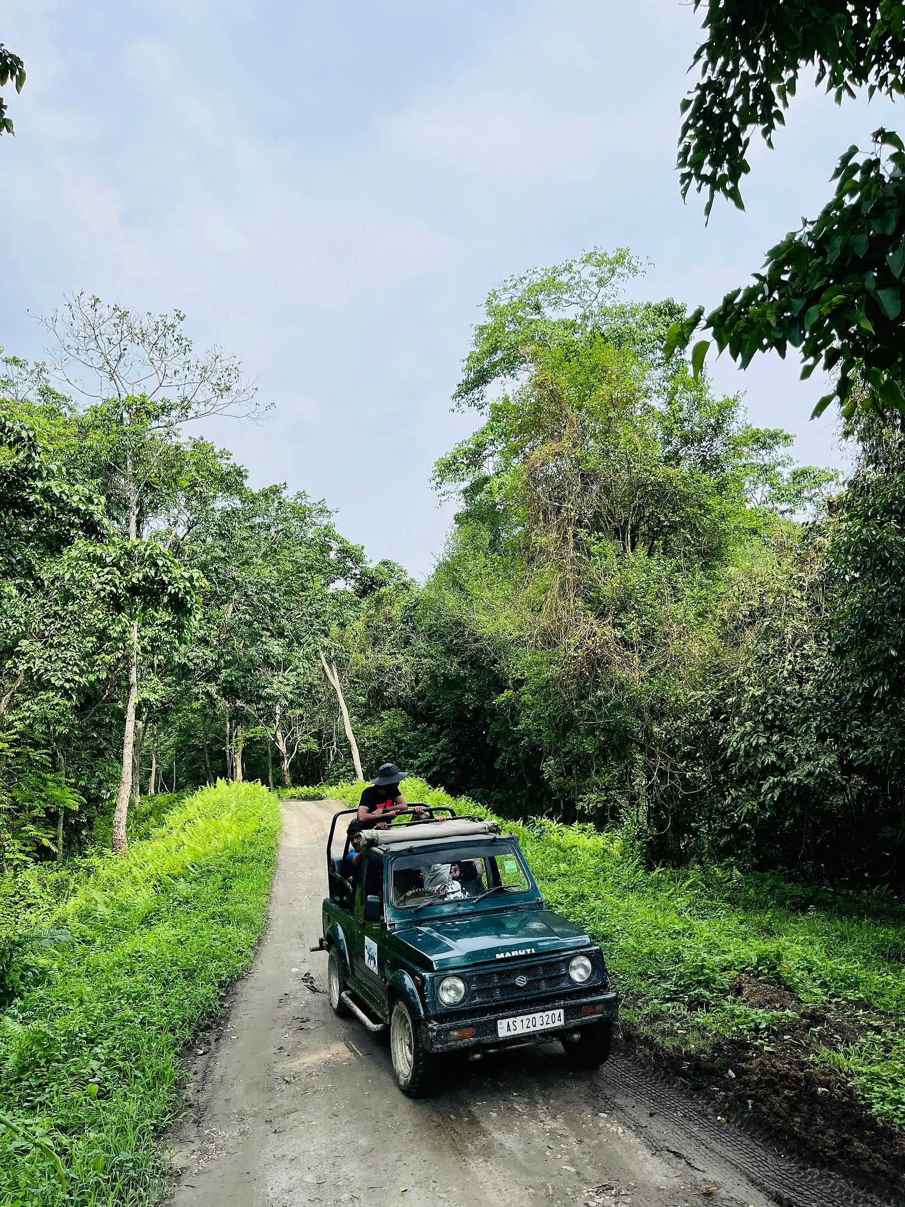 An open safari gypsy driving along a green forest track
